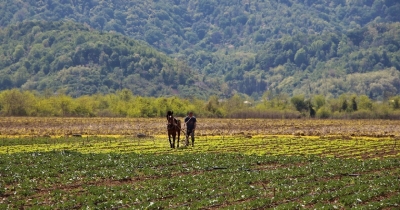 «Արտոնյալ ագրովարկեր» ծրագրի շրջանակներում ավելի քան 5 հազար վարկ է տրամադրվել