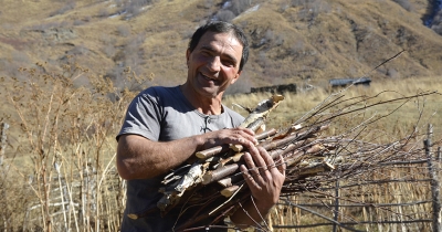 ნიკო კავშირზეა!