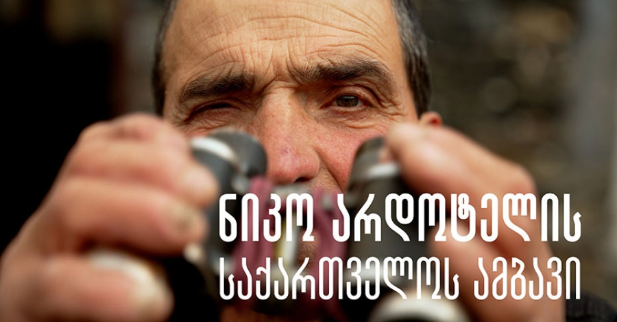 ნიკო არდოტელის საქართველოს ამბავი