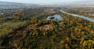 &bdquo;დიდი გაცვლა&ldquo; - რატომ დათმო საპატრიარქომ კრწანისის ტყე-პარკი
