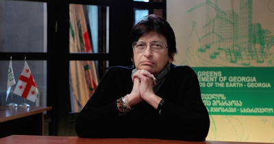 ეს კატასტროფა შეიძლება იყოს - ჩხობაძე კრწანისის ტყეპარკში ქალაქის მშენებლობაზე