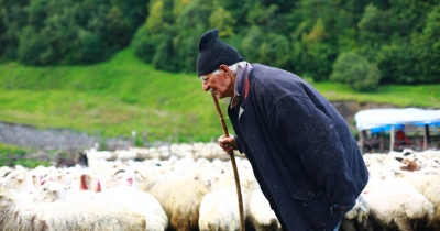 ფოტო / ტატიანა ბეგიუ, Moldova.org