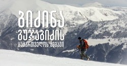 ბიძინა გუჯაბიძის საქართველოს ამბავი