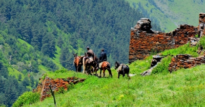 თუშეთში დართლო – ჩიღოს გზის მშენებლობა დაიწყო